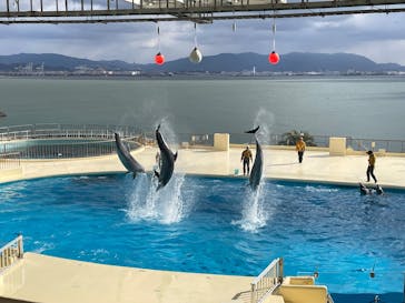 マリンワールド海の中道に投稿された画像（2025/12/26）