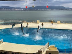 マリンワールド海の中道に投稿された画像（2025/12/26）