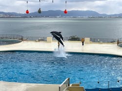 マリンワールド海の中道に投稿された画像（2025/12/26）