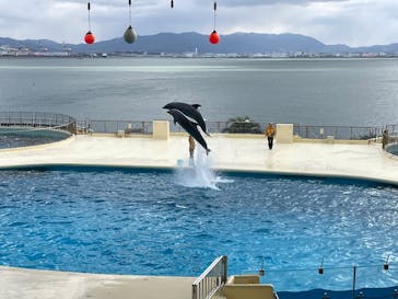 マリンワールド海の中道に投稿された画像（2025/12/26）