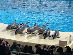 マリンワールド海の中道に投稿された画像（2025/12/26）