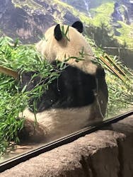 恩賜上野動物園に投稿された画像（2025/12/26）