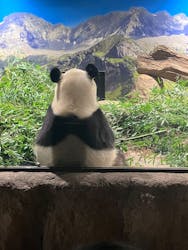 恩賜上野動物園に投稿された画像（2025/12/26）