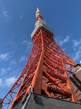 東京タワーに投稿された画像（2025/12/26）