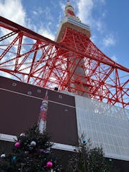 東京タワーに投稿された画像（2025/12/26）