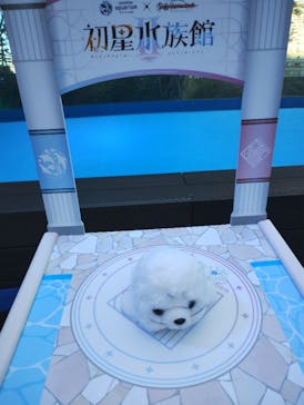 サンシャイン水族館に投稿された画像（2025/12/26）