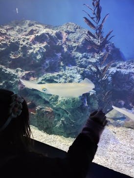 サンシャイン水族館に投稿された画像（2025/12/26）