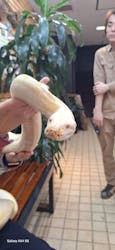 体感型動物園iZooに投稿された画像（2025/12/26）