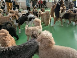 つくばわんわんランドに投稿された画像（2025/12/26）