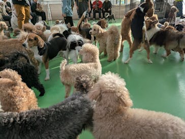 つくばわんわんランドに投稿された画像（2025/12/26）