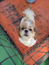 つくばわんわんランドに投稿された画像（2025/12/26）