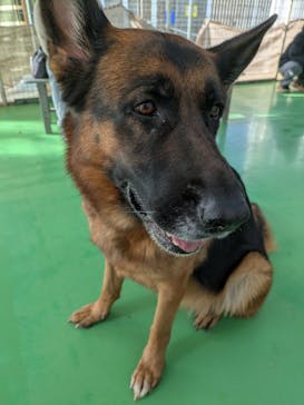 つくばわんわんランドに投稿された画像（2025/12/26）