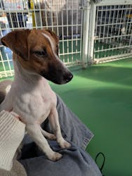 つくばわんわんランドに投稿された画像（2025/12/26）