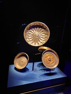 ACN ラムセス大王展 ファラオたちの黄金に投稿された画像（2025/12/26）