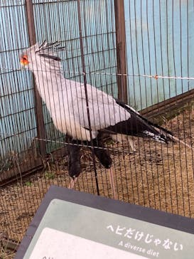 恩賜上野動物園に投稿された画像（2025/12/26）