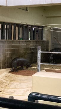 恩賜上野動物園に投稿された画像（2025/12/26）