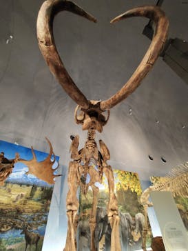 福井県立恐竜博物館に投稿された画像（2025/12/26）