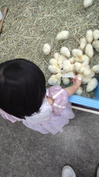 東京あそびマーレに投稿された画像（2025/12/26）