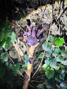 元気玉に投稿された画像（2025/12/26）