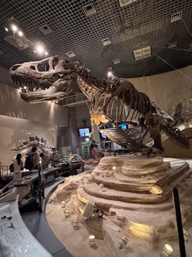 印象派オルセー展×大絶滅展に投稿された画像（2025/12/26）