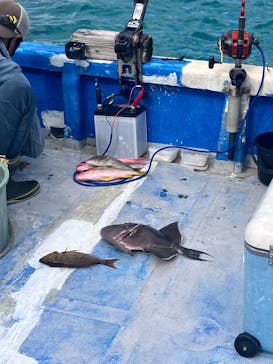 遊漁船 由偉丸に投稿された画像（2025/12/26）