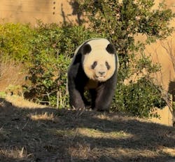 恩賜上野動物園に投稿された画像（2025/12/26）