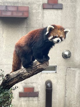 群馬サファリパークに投稿された画像（2025/12/26）