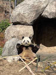 恩賜上野動物園に投稿された画像（2025/12/26）