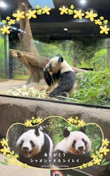 恩賜上野動物園に投稿された画像（2025/12/26）