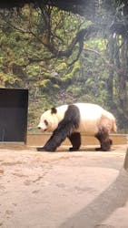 恩賜上野動物園に投稿された画像（2025/12/26）