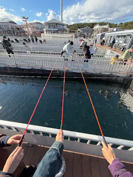 横浜・八景島シーパラダイスに投稿された画像（2025/12/26）
