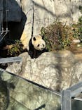 恩賜上野動物園に投稿された画像（2025/12/26）