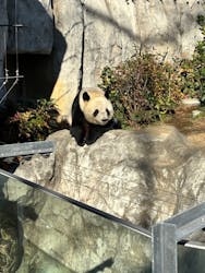 恩賜上野動物園に投稿された画像（2025/12/26）