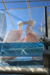 サンシャイン水族館に投稿された画像（2025/12/26）