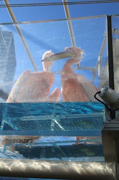 サンシャイン水族館に投稿された画像（2025/12/26）
