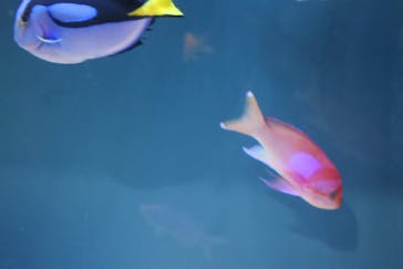 サンシャイン水族館に投稿された画像（2025/12/26）