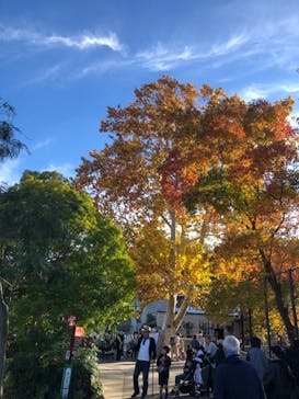 名古屋市東山動植物園に投稿された画像（2025/12/26）