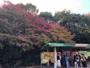 名古屋市東山動植物園に投稿された画像（2025/12/26）