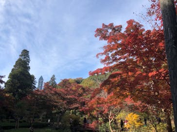名古屋市東山動植物園に投稿された画像（2025/12/26）