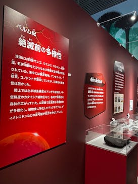 特別展「大絶滅展―生命史のビッグファイブ」に投稿された画像（2025/12/26）