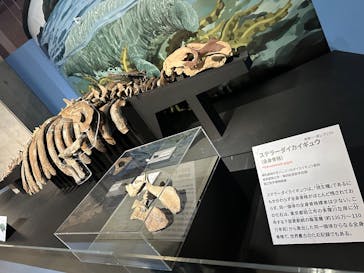 特別展「大絶滅展―生命史のビッグファイブ」に投稿された画像（2025/12/26）