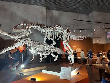 特別展「大絶滅展―生命史のビッグファイブ」に投稿された画像（2025/12/26）