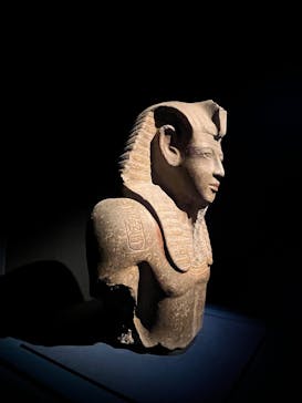 ACN ラムセス大王展 ファラオたちの黄金に投稿された画像（2025/12/26）