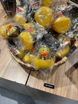 ACN ラムセス大王展 ファラオたちの黄金に投稿された画像（2025/12/26）