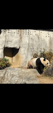 恩賜上野動物園に投稿された画像（2025/12/26）