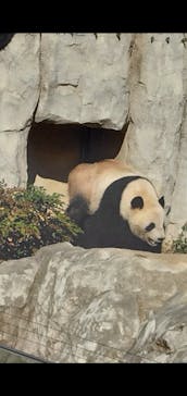 恩賜上野動物園に投稿された画像（2025/12/26）