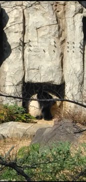 恩賜上野動物園に投稿された画像（2025/12/26）