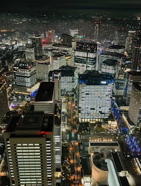 横浜ランドマークタワー 69階展望フロア スカイガーデンに投稿された画像（2025/12/26）