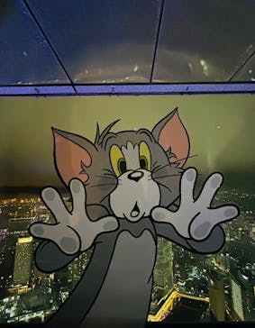 横浜ランドマークタワー 69階展望フロア スカイガーデンに投稿された画像（2025/12/26）