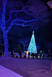 みろくの里に投稿された画像（2025/12/26）